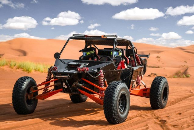 Self Drive Dune Buggy Experience + Fossil Discovery